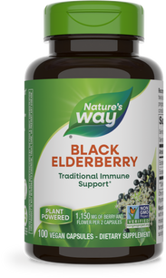 Black Elderberry