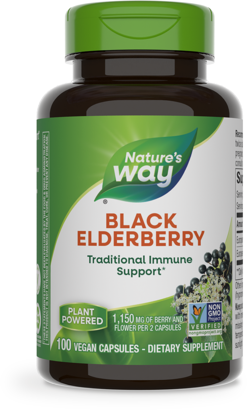 Black Elderberry