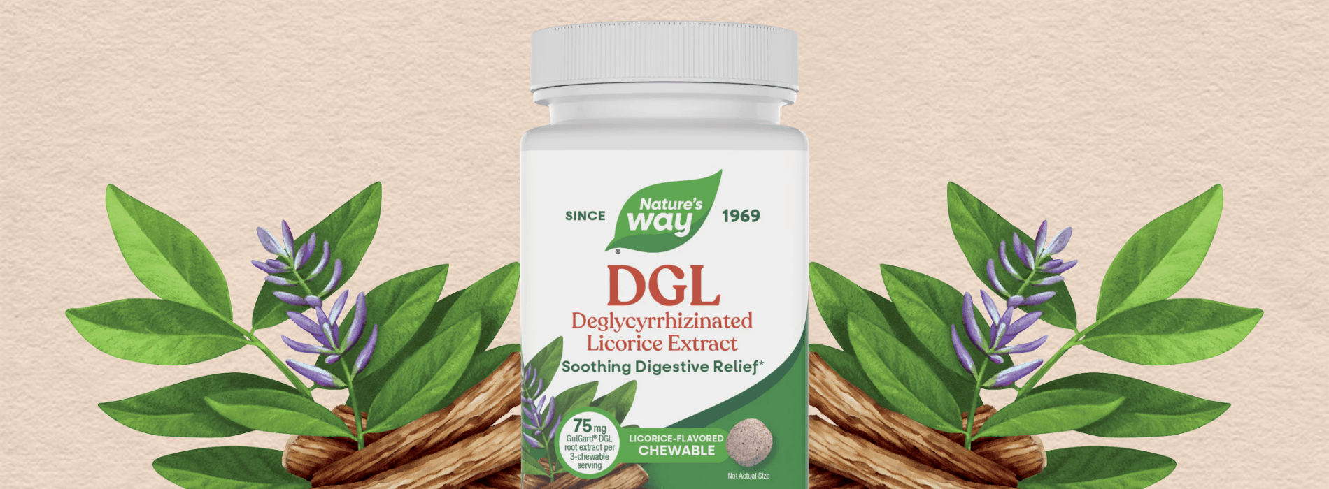 Nature's Way DGL supplement bottle with green leaves on a beige background