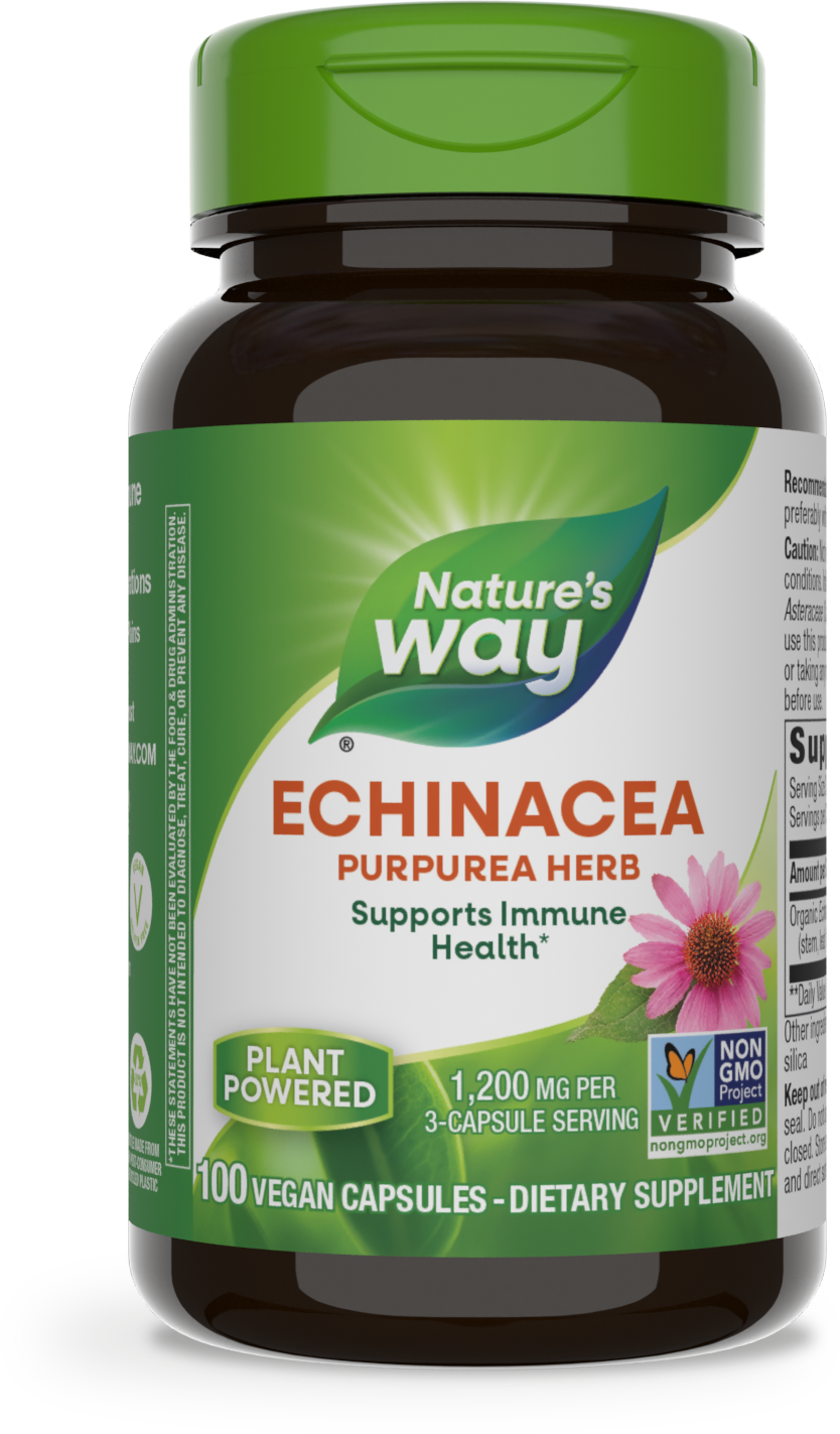 Echinacea