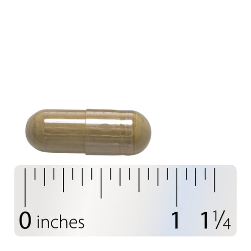 Olive Leaf Premium Extract - Capsule and ruler Sku:64000