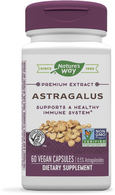 Astragalus