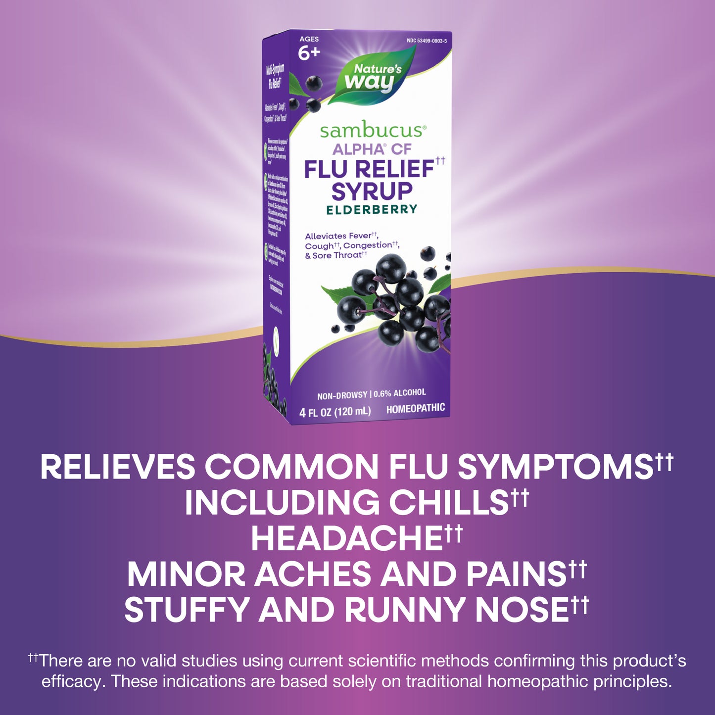 <{%MAIN6_15803%}>Nature's Way® | Sambucus Flu Relief Syrup