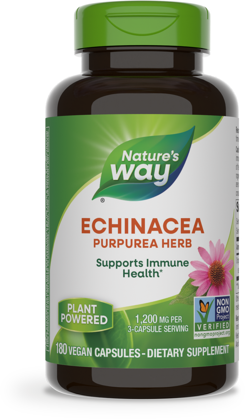 Echinacea