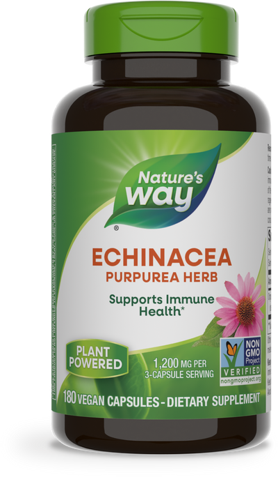 Echinacea