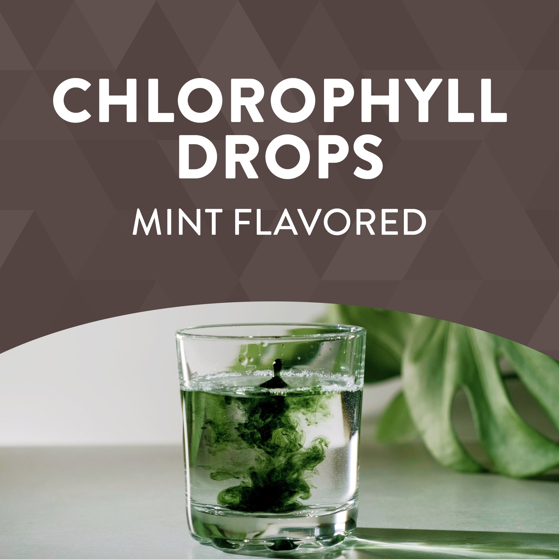 Nature's Way® | Chlorofresh (Mint) 40X Drops