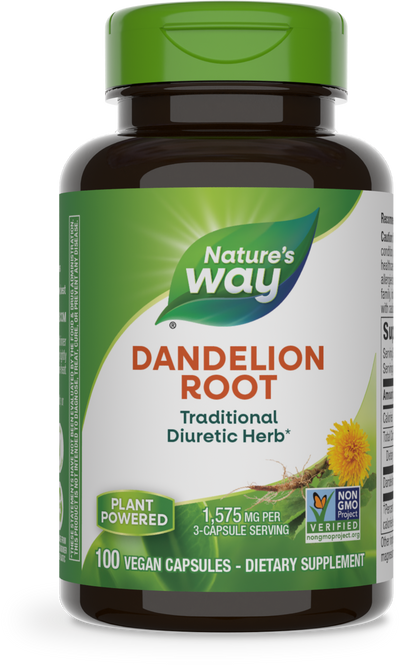 Dandelion Root