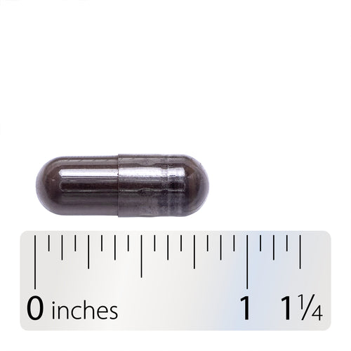 Black Walnut Hulls - Capsule and ruler Sku:10600