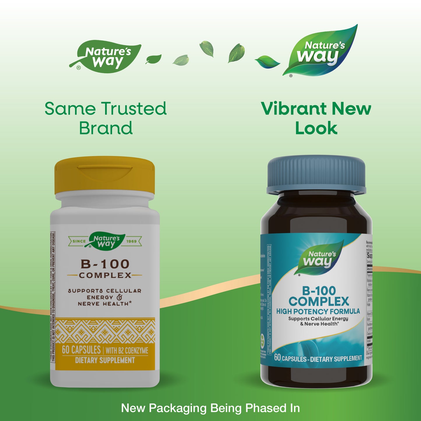<{%MAIN1_40520%}>Nature's Way® | Vitamin B-100 Complex