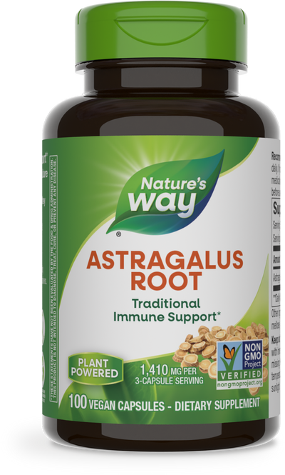 Astragalus Root