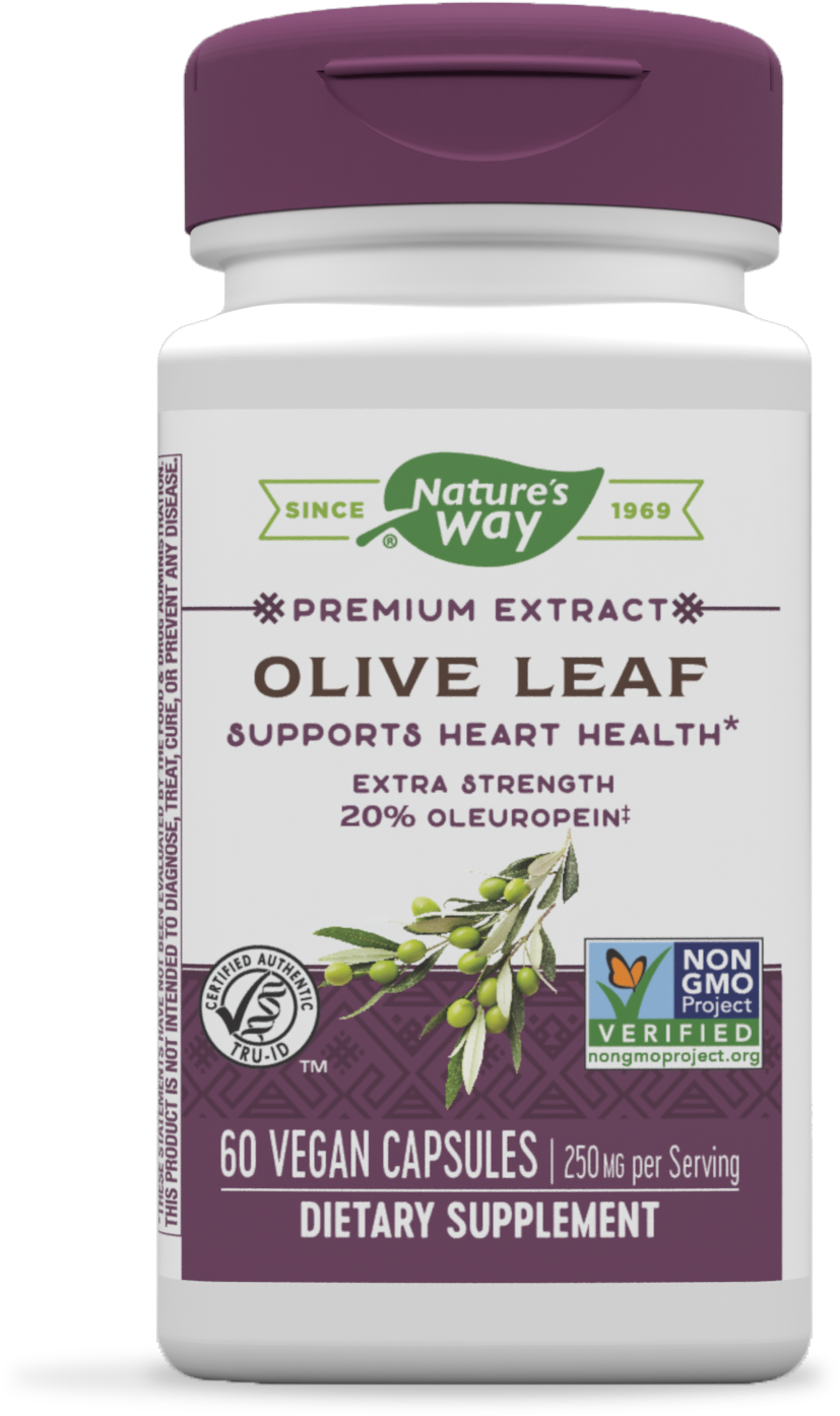 Olive Leaf Premium Extract 20% Oleuropein