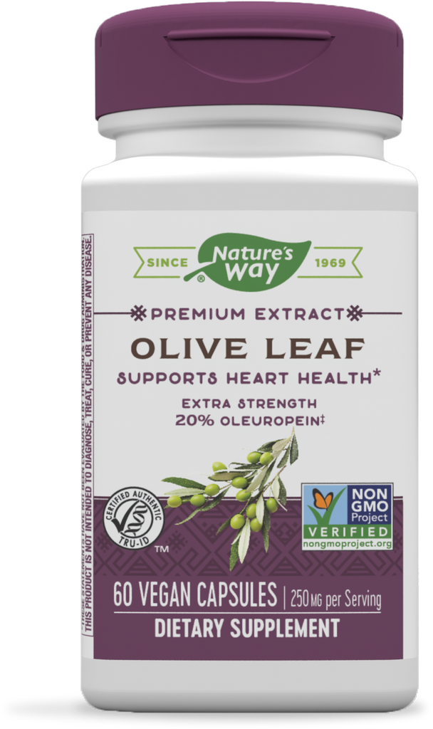 Olive Leaf Premium Extract 20% Oleuropein