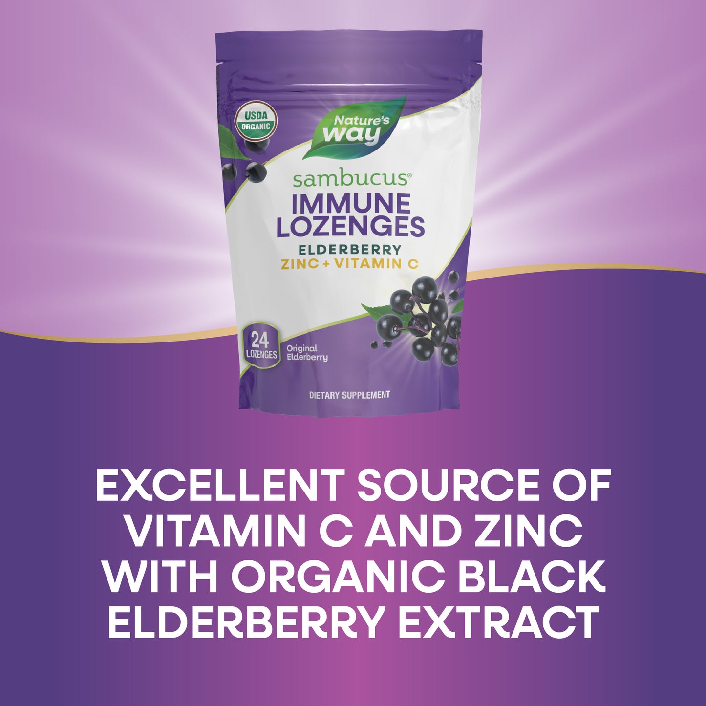 <{%MAIN6_10220%}>Nature's Way® | Sambucus Immune Lozenges