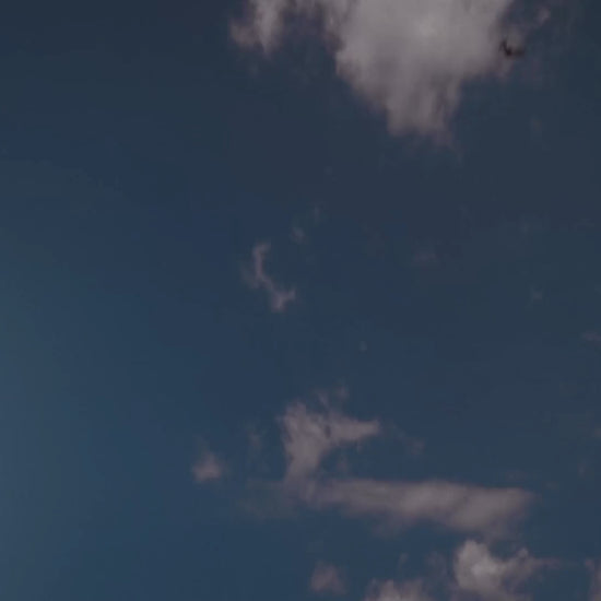 <{%MAIN2_15963%}>Nature's Way® | Moringa - video