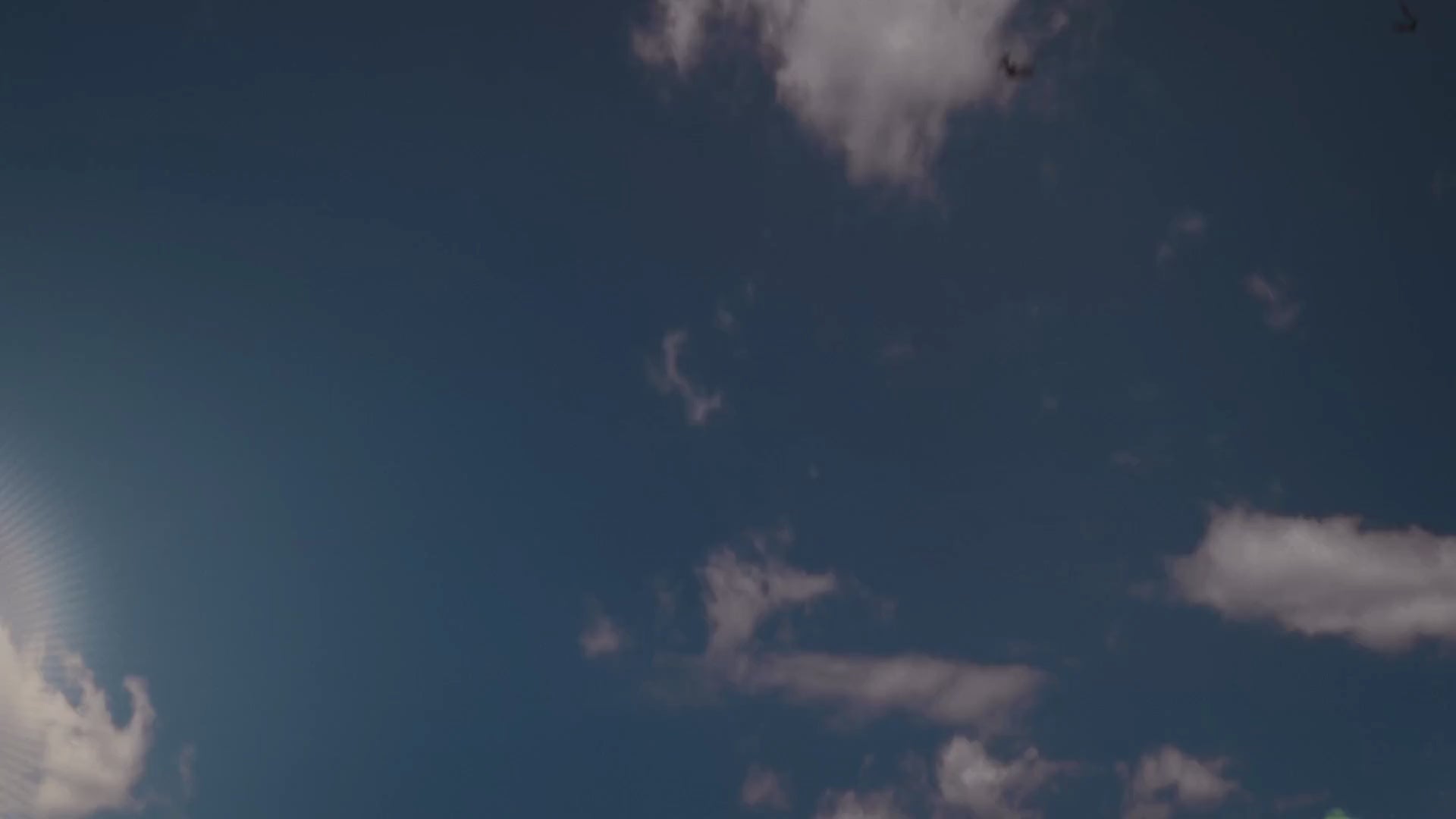 <{%MAIN2_15963%}>Nature's Way® | Moringa - video