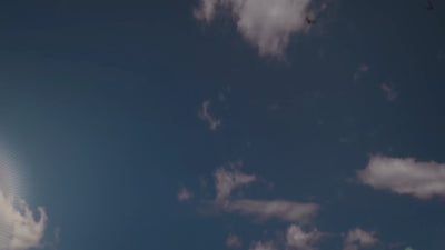 <{%MAIN2_15963%}>Nature's Way® | Moringa - video