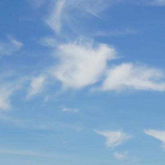 <{%MAIN2_13710%}>Nature's Way® | Alive Women's - video