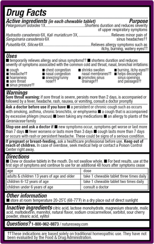 Nature's Way® | Umcka® Allergy+Sinus Chewables Sku:12194