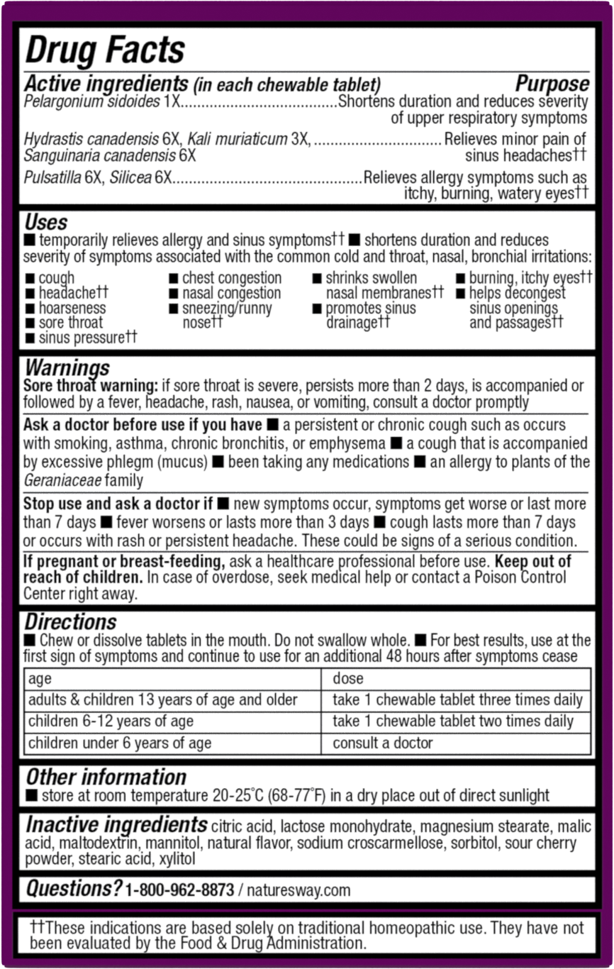 <{%MAIN2_12194%}>Nature's Way® | Umcka® Allergy+Sinus Chewables