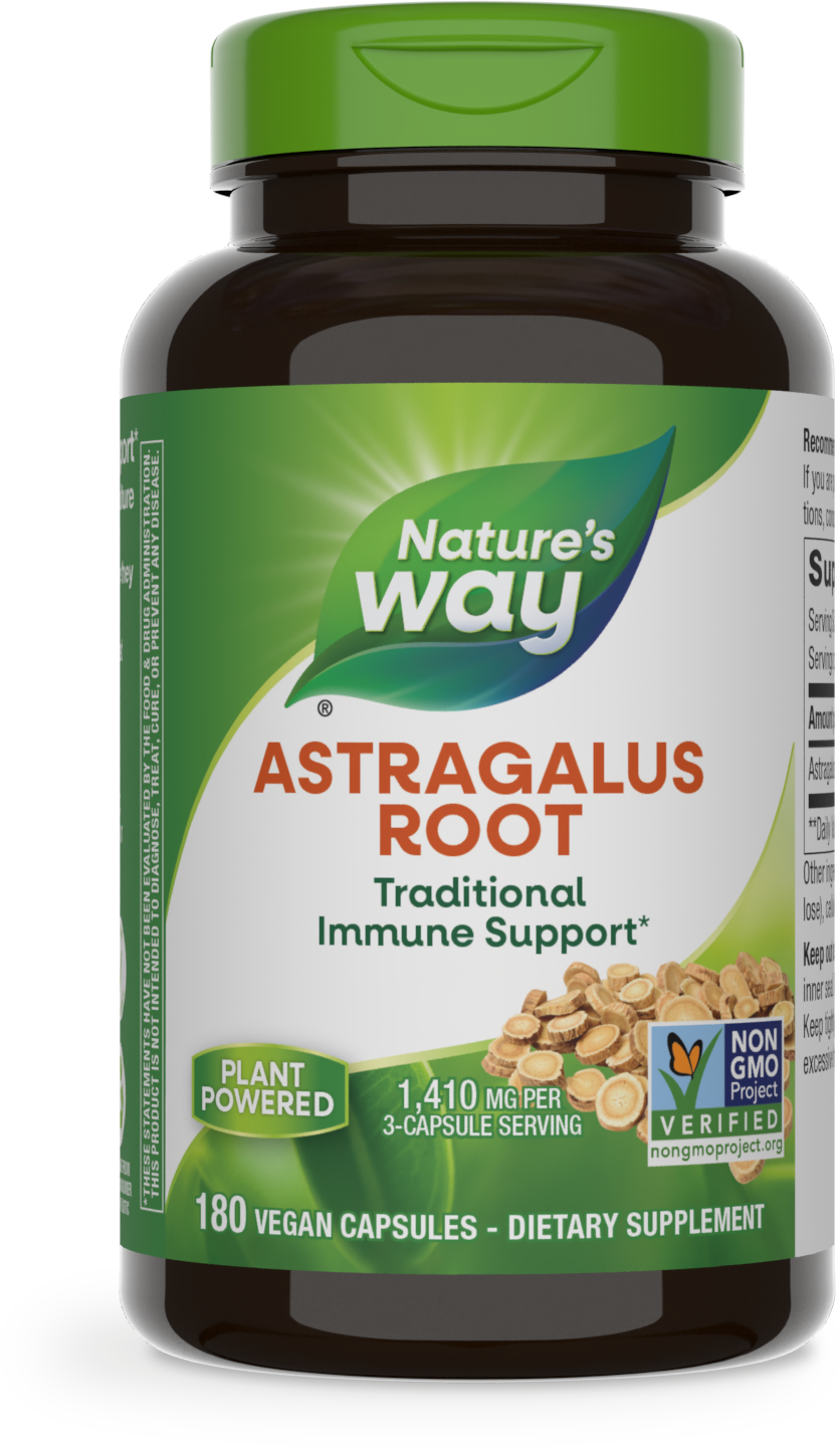 Astragalus Root