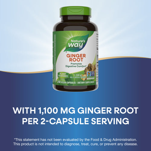 Nature's Way® | Ginger Root Sku:11926