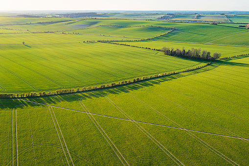 Aerial view of green fields with a straight line of trees running through them.