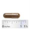 Gotu Kola Herb - Capsule and ruler Sku:14000