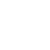 Rhizome