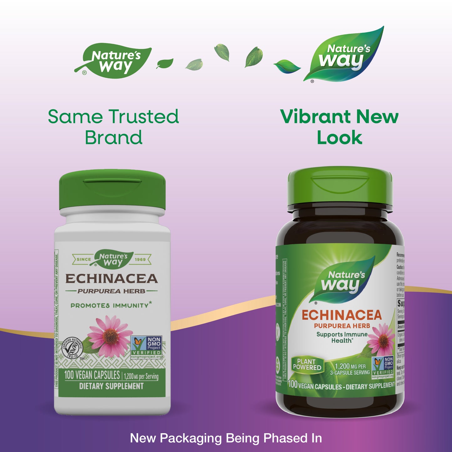 <{%MAIN1_12400%}>Nature's Way® | Echinacea