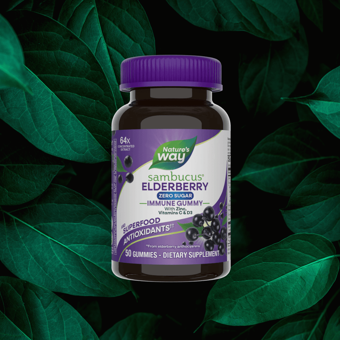 Nature's Way sambucus elderberry gummy bottle on a green leaf background
