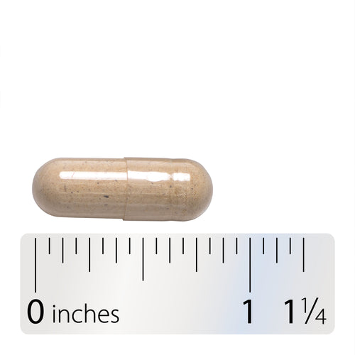 Wild Yam Root - Capsule and ruler Sku:17870