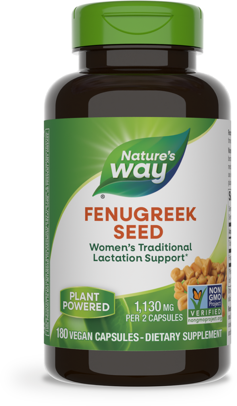 Fenugreek Seed