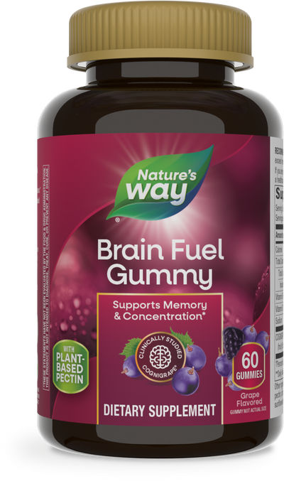 Brain Fuel