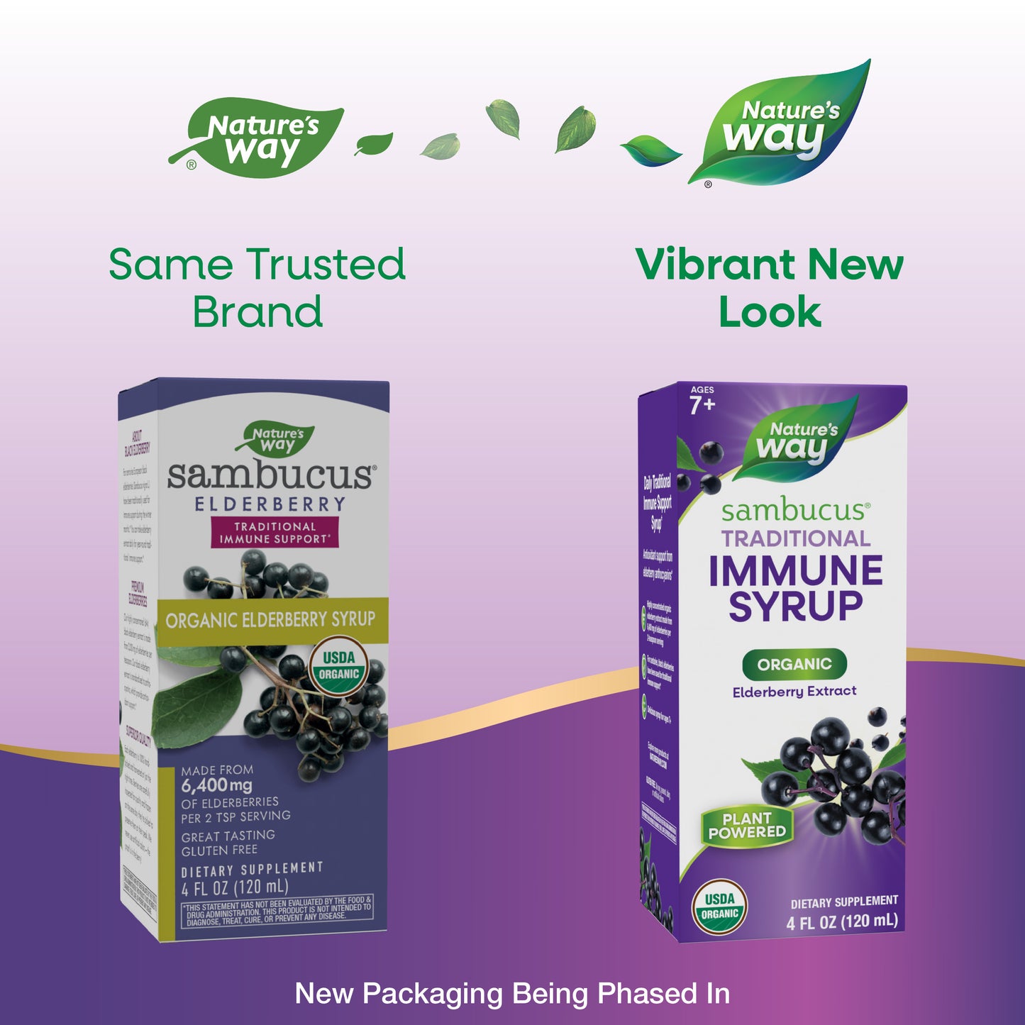 <{%MAIN1_15796%}>Nature's Way® | Sambucus Organic Elderberry Syrup