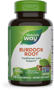 Burdock Root