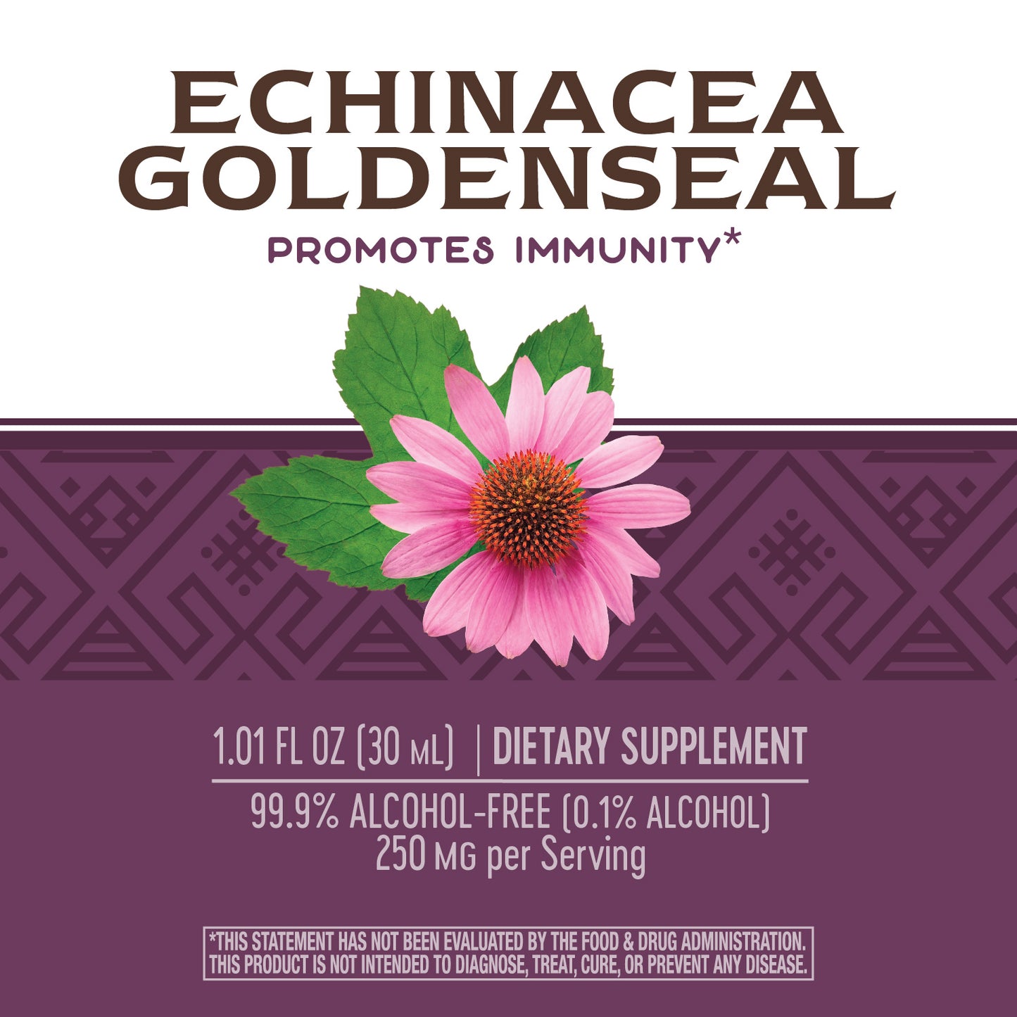 <{%MAIN3_14663%}>Nature's Way® | Echinacea Goldenseal Drops