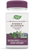 Kidney-Bladder