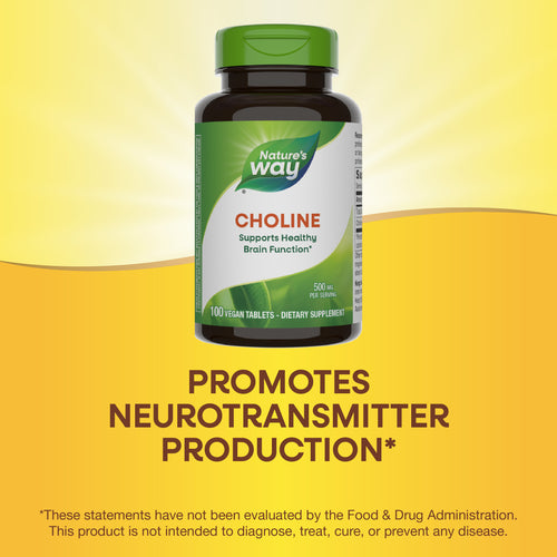 Nature's Way® | Choline Sku:40460