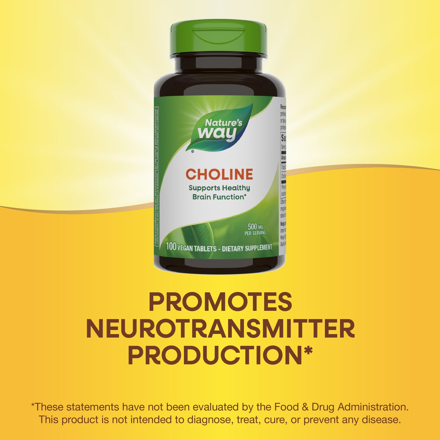 <{%MAIN5_40460%}>Nature's Way® | Choline