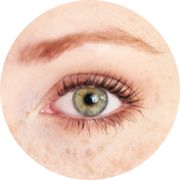 A close-up of a hazel eye with long, black eyelashes.
