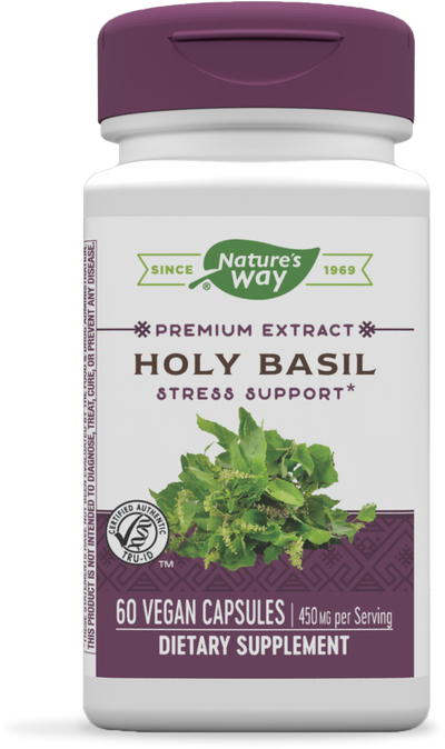 Holy Basil