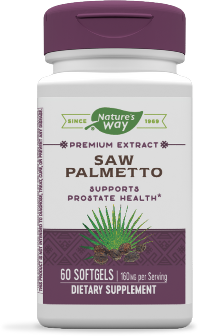 Saw Palmetto